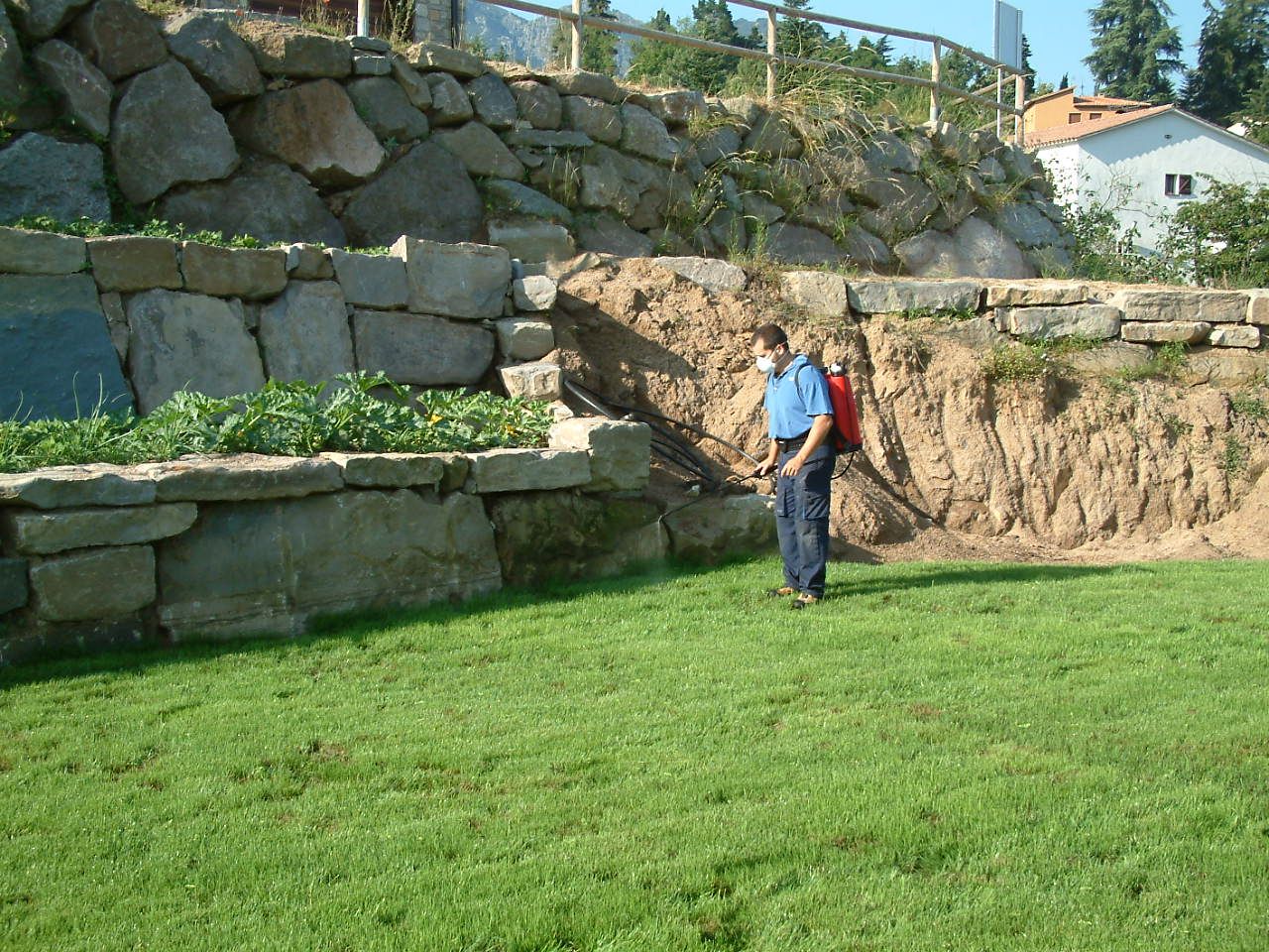 Serveis Fitosanitaris